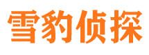 公主岭市侦探公司